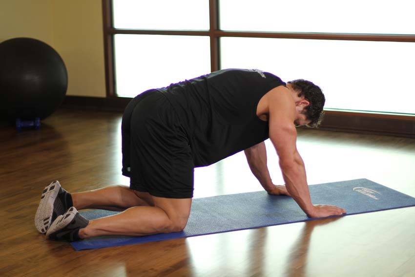 Demonstration of All Fours Quad Stretch exercise showing proper form and technique