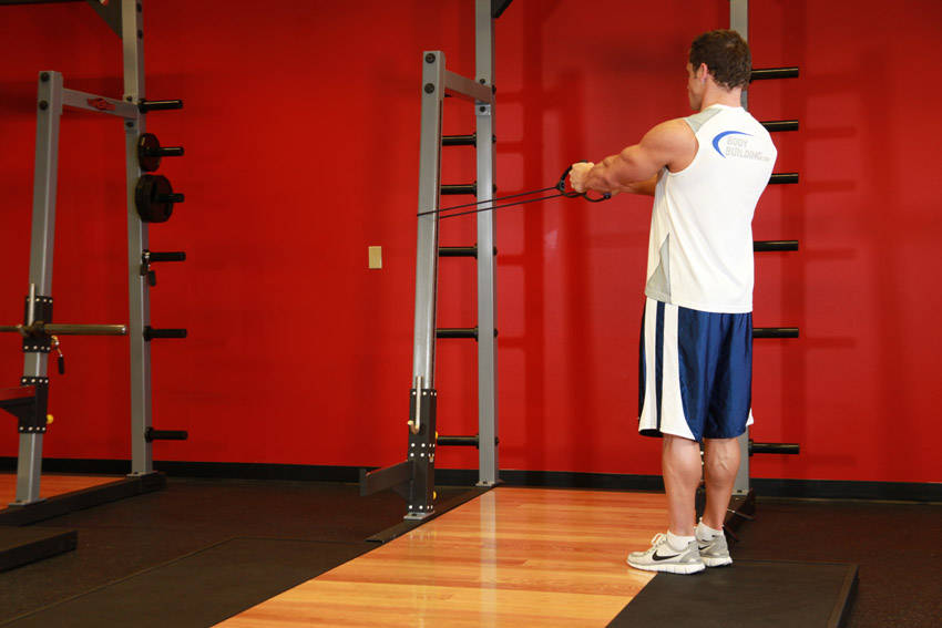 Demonstration of Back Flyes - With Bands exercise showing proper form and technique