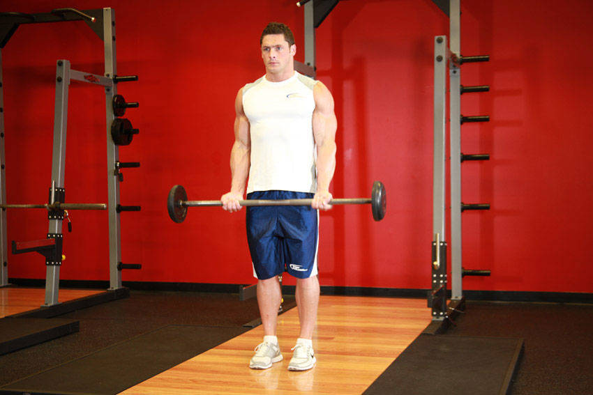 Demonstration of Barbell Curl exercise showing proper form and technique