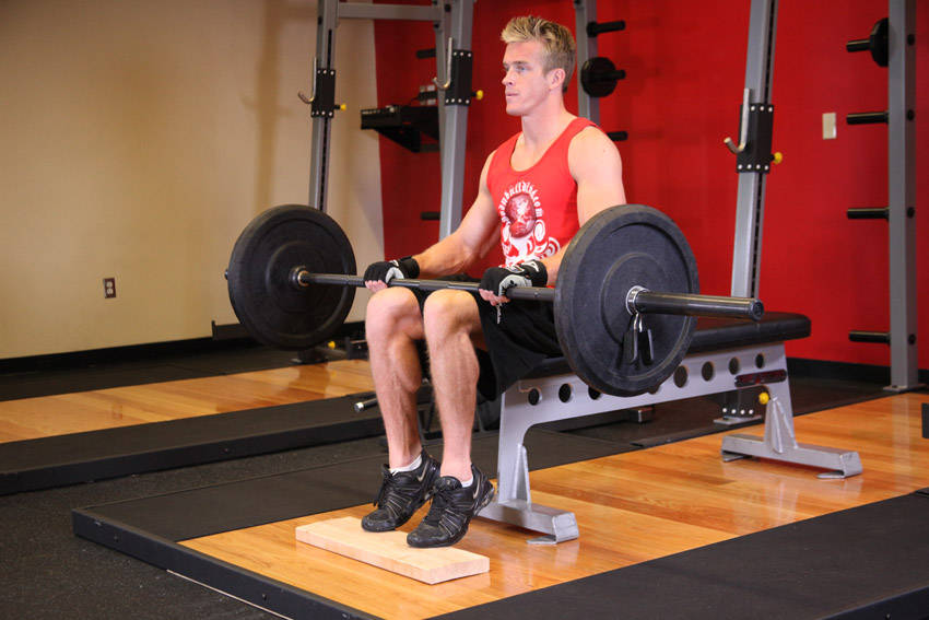 Alternative demonstration of Barbell Seated Calf Raise exercise