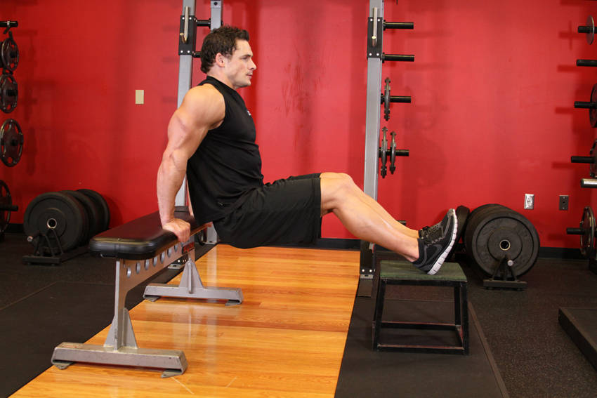 Demonstration of Bench Dips exercise showing proper form and technique