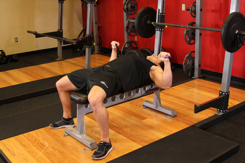 Demonstration of Bench Press - With Bands exercise showing proper form and technique