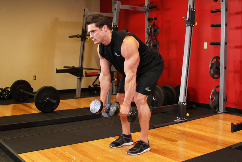 Demonstration of Bent Over Two-Dumbbell Row exercise showing proper form and technique