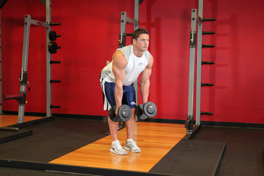 Demonstration of Bent Over Two-Dumbbell Row With Palms In exercise showing proper form and technique