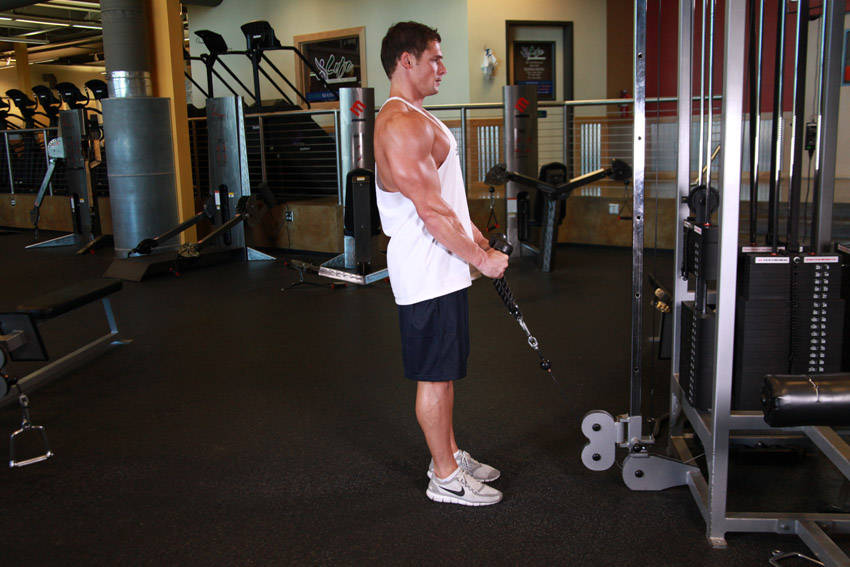 Demonstration of Cable Hammer Curls - Rope Attachment exercise showing proper form and technique