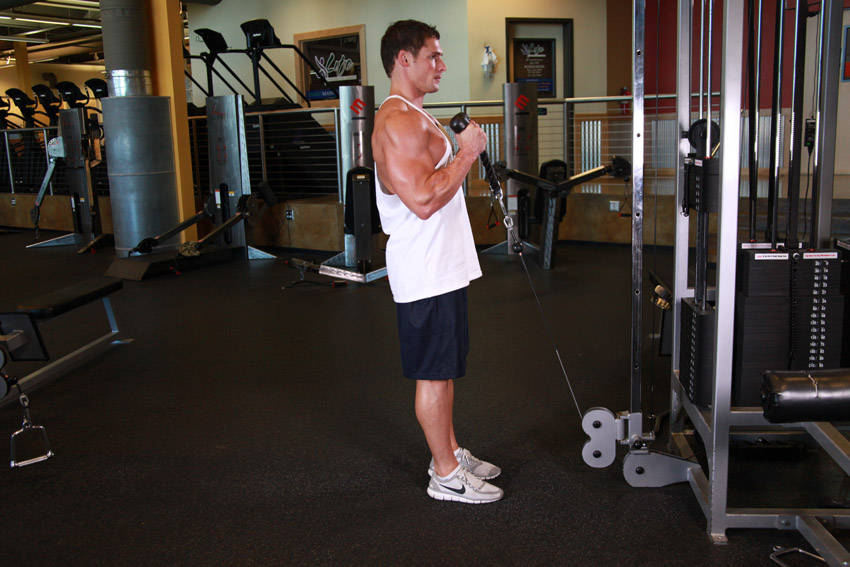 Alternative demonstration of Cable Hammer Curls - Rope Attachment exercise