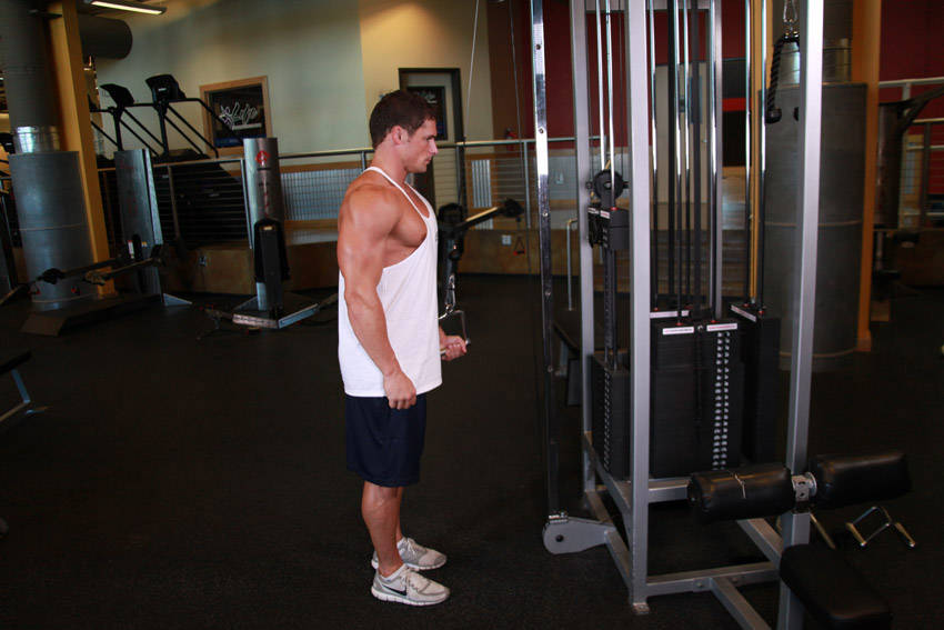 Demonstration of Cable One Arm Tricep Extension exercise showing proper form and technique