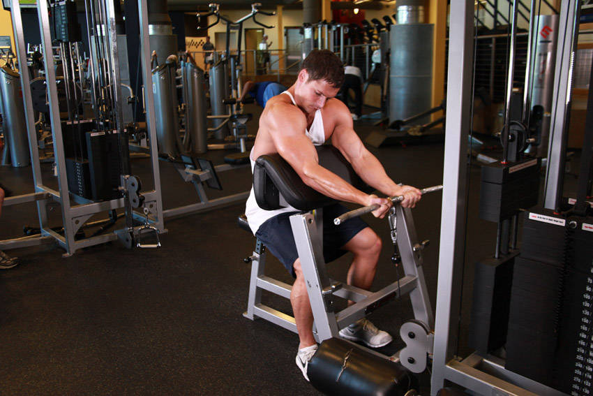 Demonstration of Cable Preacher Curl exercise showing proper form and technique