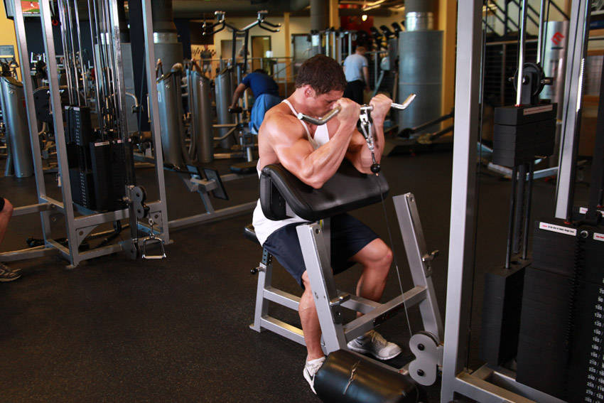 Alternative demonstration of Cable Preacher Curl exercise