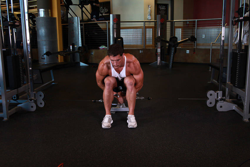 Demonstration of Cable Seated Lateral Raise exercise showing proper form and technique