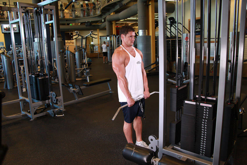 Demonstration of Cable Shrugs exercise showing proper form and technique