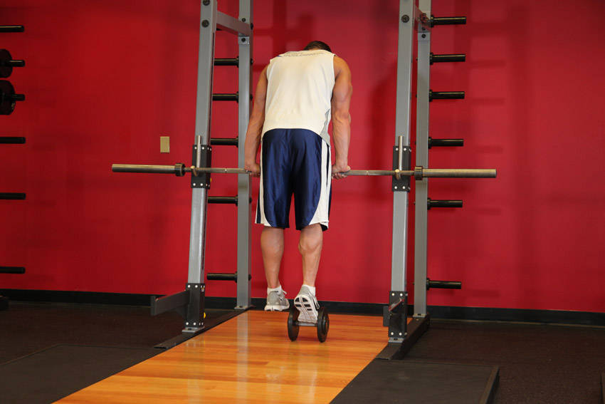 Alternative demonstration of Calf Raise On A Dumbbell exercise