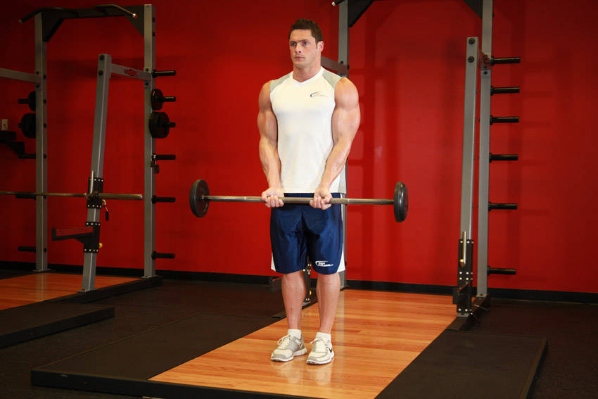 Demonstration of Close-Grip Standing Barbell Curl exercise showing proper form and technique