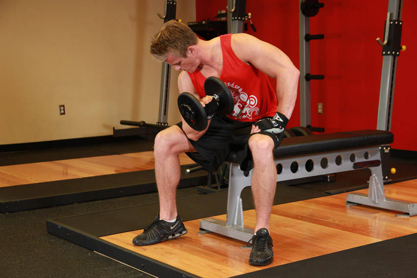Alternative demonstration of Concentration Curls exercise