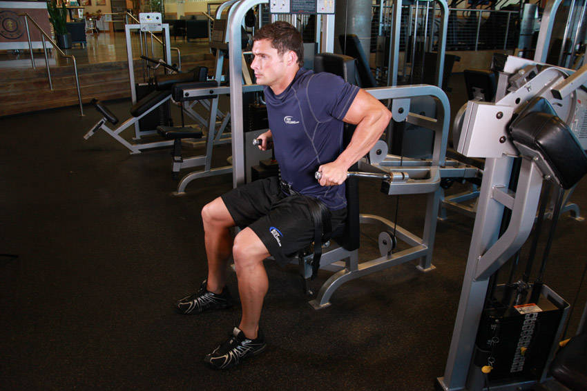 Demonstration of Dip Machine exercise showing proper form and technique