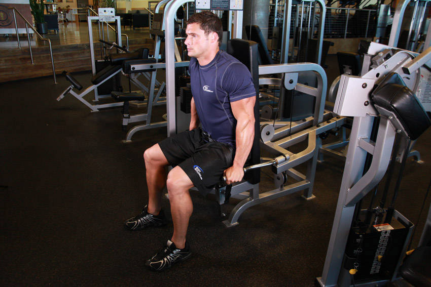 Alternative demonstration of Dip Machine exercise