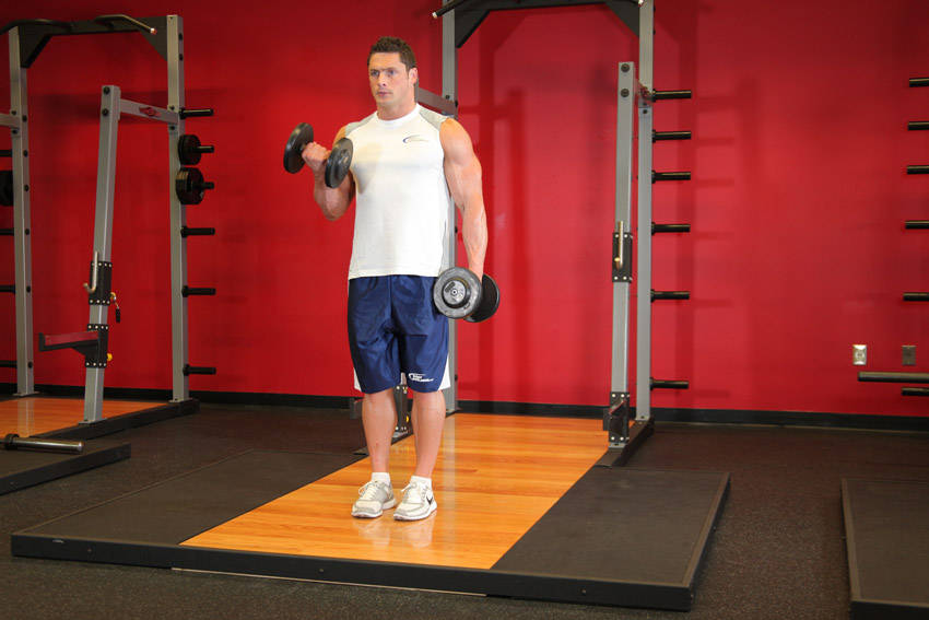 Demonstration of Dumbbell Alternate Bicep Curl exercise showing proper form and technique
