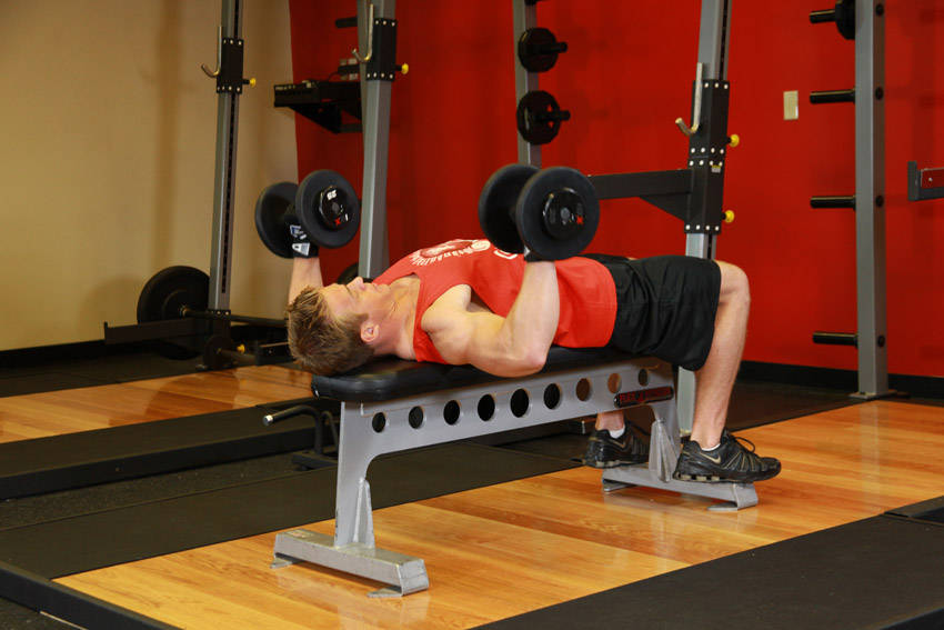 Demonstration of Dumbbell Bench Press exercise showing proper form and technique
