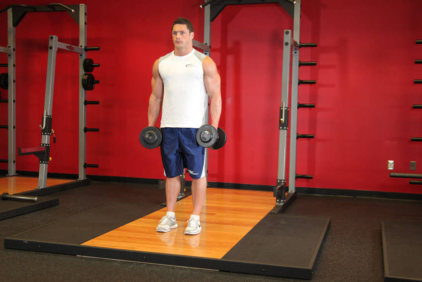 Demonstration of Dumbbell Bicep Curl exercise showing proper form and technique