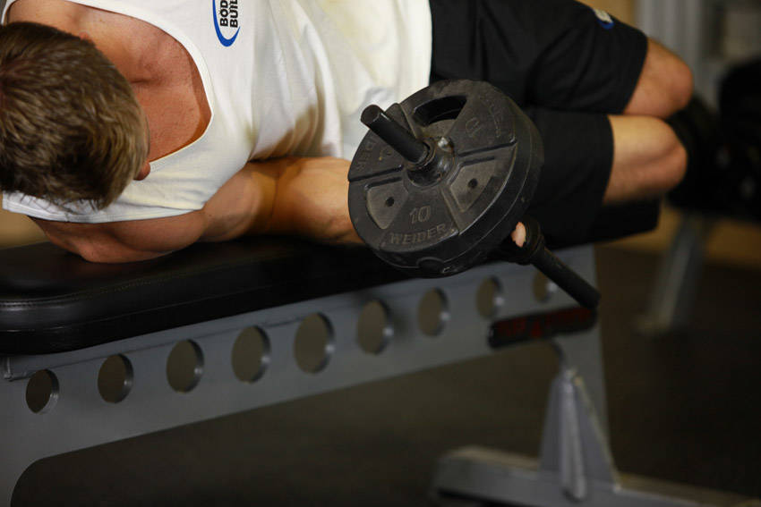 Alternative demonstration of Dumbbell Lying Pronation exercise