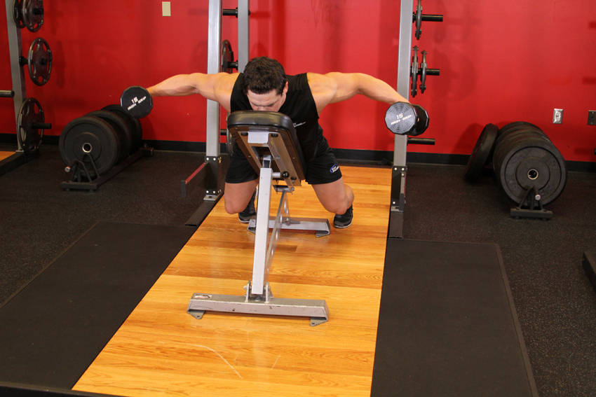 Alternative demonstration of Dumbbell Lying Rear Lateral Raise exercise