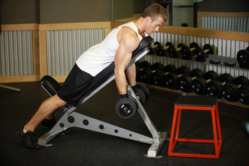 Alternative demonstration of Dumbbell Prone Incline Curl exercise
