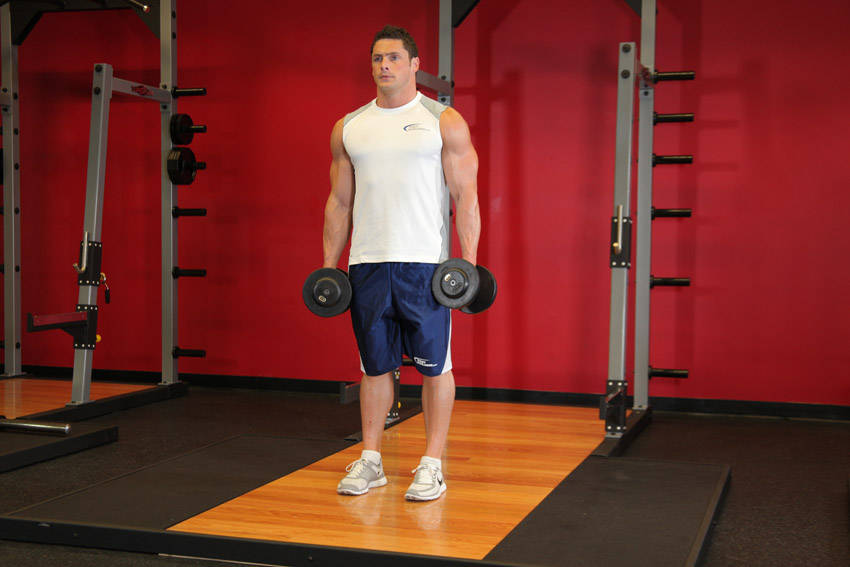 Demonstration of Dumbbell Rear Lunge exercise showing proper form and technique