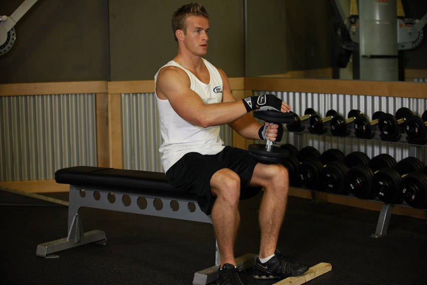Alternative demonstration of Dumbbell Seated One-Leg Calf Raise exercise