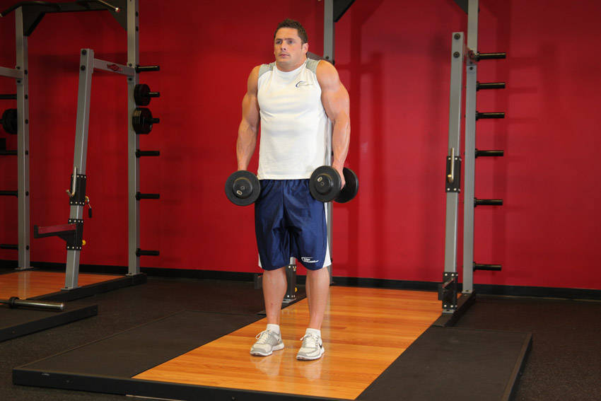 Alternative demonstration of Dumbbell Shrug exercise