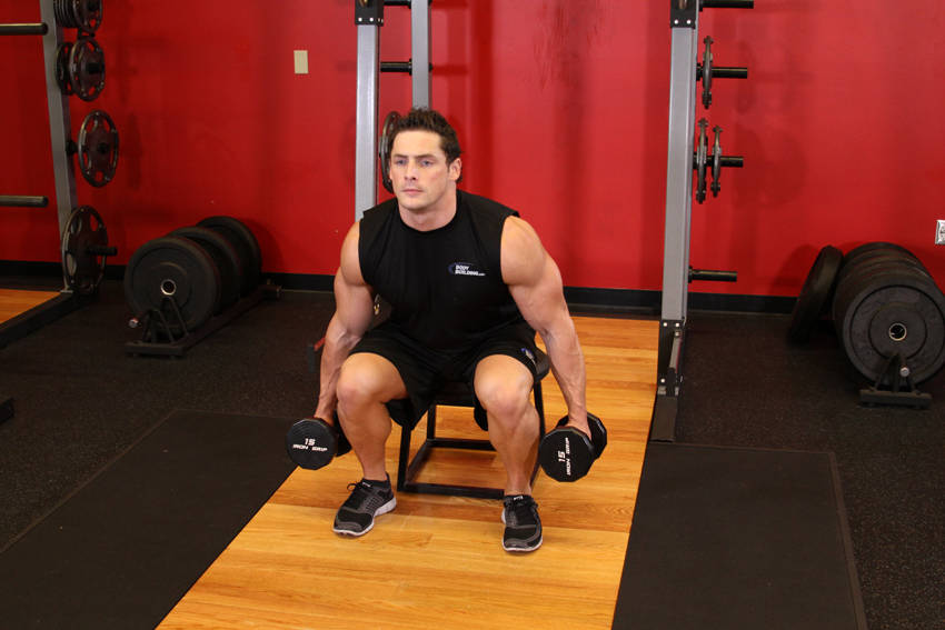 Alternative demonstration of Dumbbell Squat To A Bench exercise