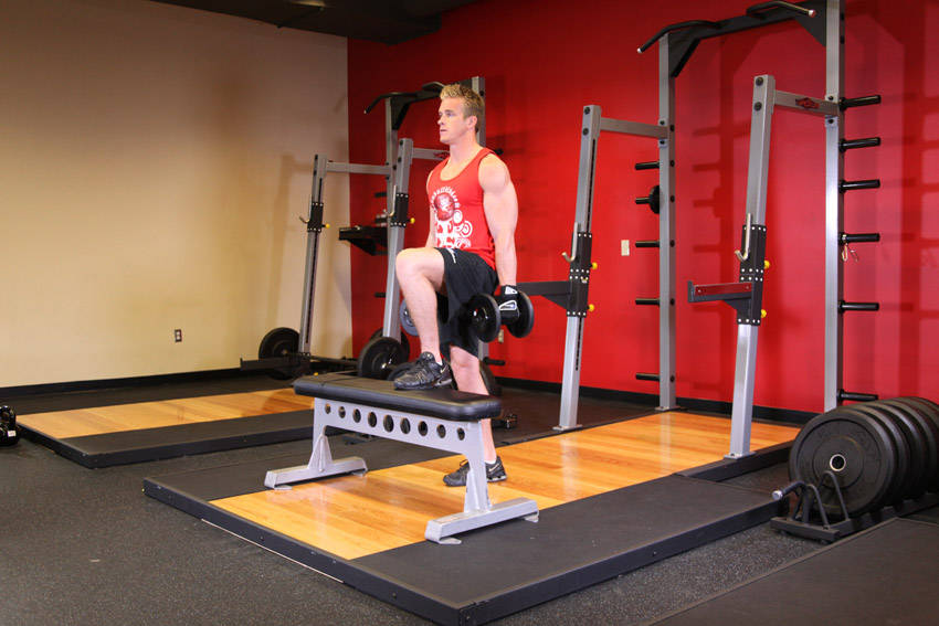 Alternative demonstration of Dumbbell Step Ups exercise