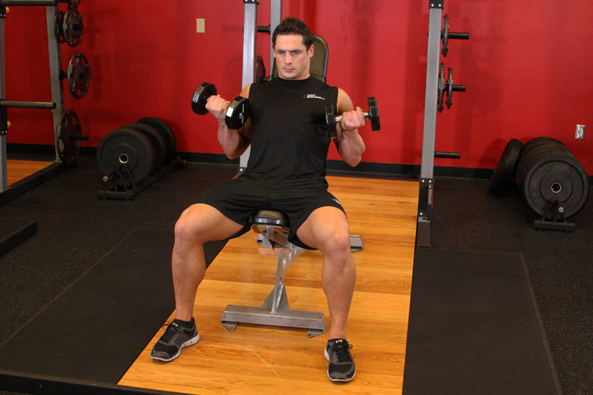 Alternative demonstration of Flexor Incline Dumbbell Curls exercise
