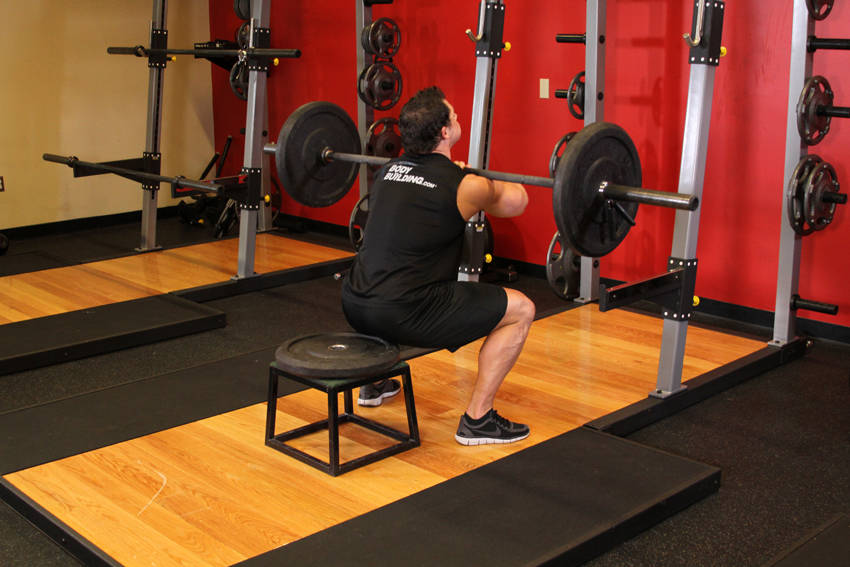 Alternative demonstration of Front Barbell Squat To A Bench exercise