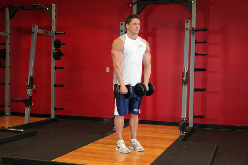 Demonstration of Front Dumbbell Raise exercise showing proper form and technique