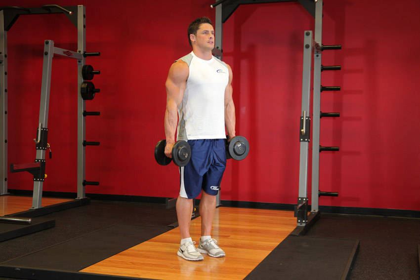 Demonstration of Hammer Curls exercise showing proper form and technique