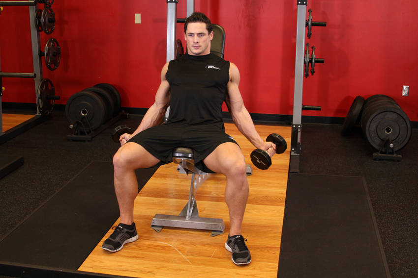 Demonstration of Incline Inner Biceps Curl exercise showing proper form and technique