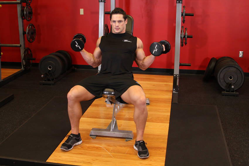 Alternative demonstration of Incline Inner Biceps Curl exercise