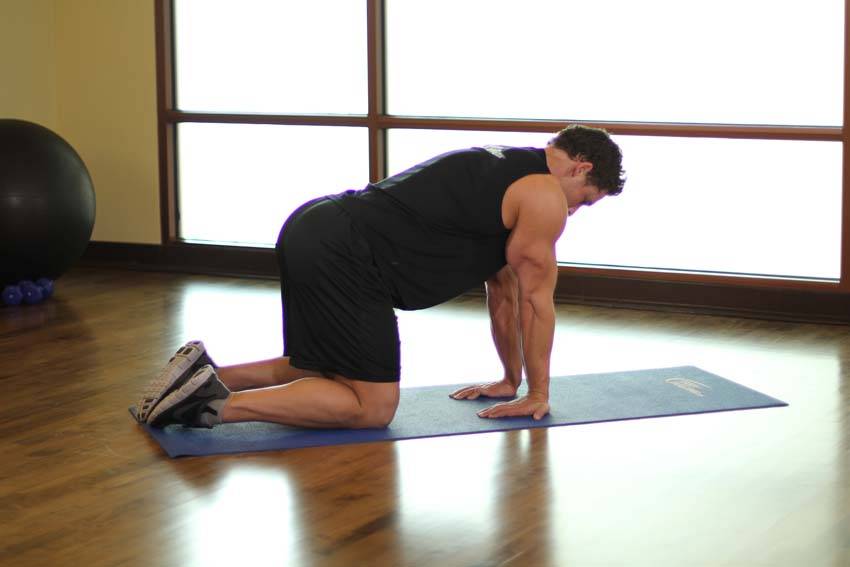 Demonstration of Kneeling Forearm Stretch exercise showing proper form and technique
