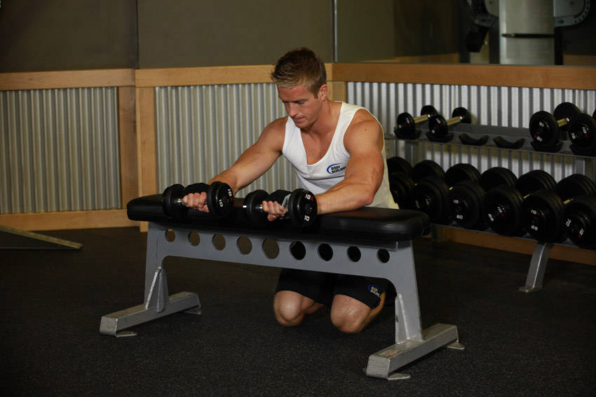 Alternative demonstration of Palms-Down Dumbbell Wrist Curl Over A Bench exercise