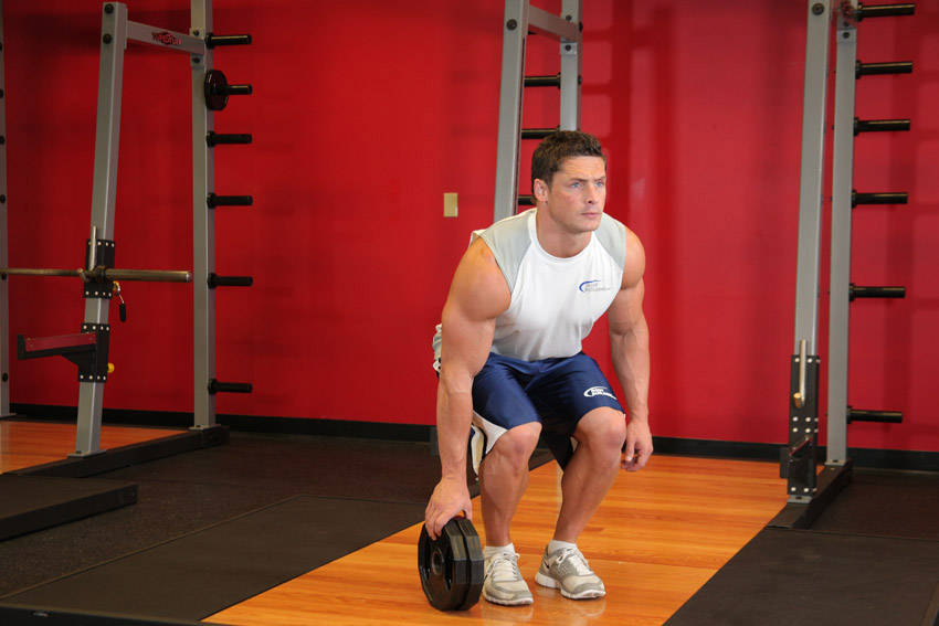 Demonstration of Plate Pinch exercise showing proper form and technique