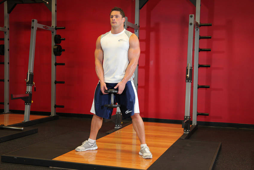 Demonstration of Plie Dumbbell Squat exercise showing proper form and technique