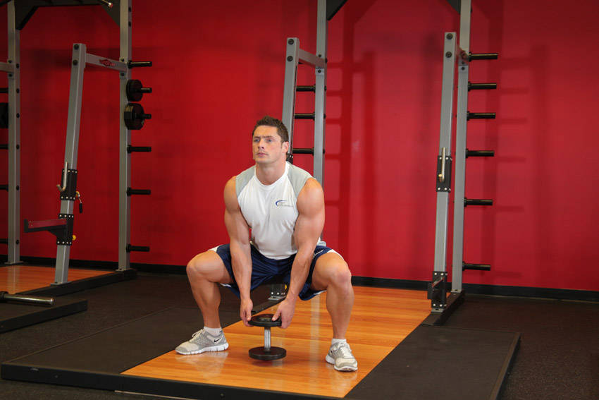Alternative demonstration of Plie Dumbbell Squat exercise