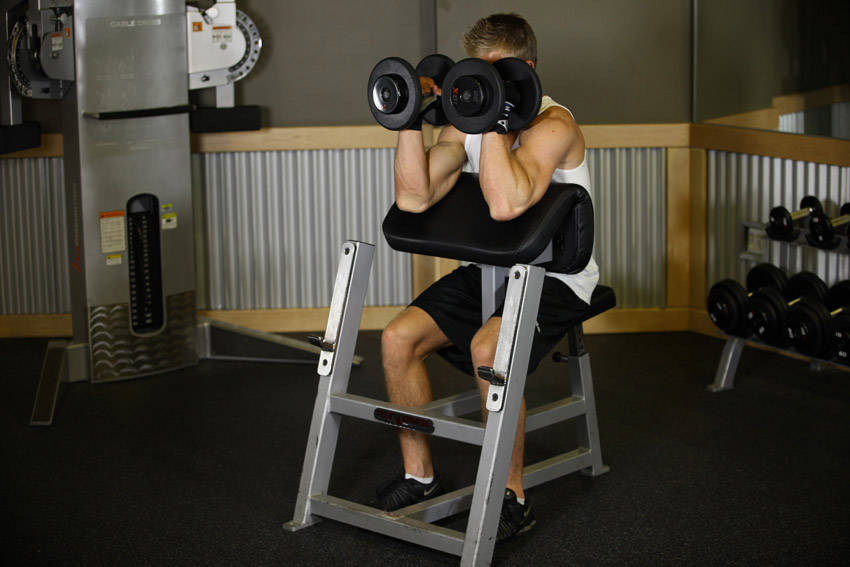 Alternative demonstration of Preacher Hammer Dumbbell Curl exercise