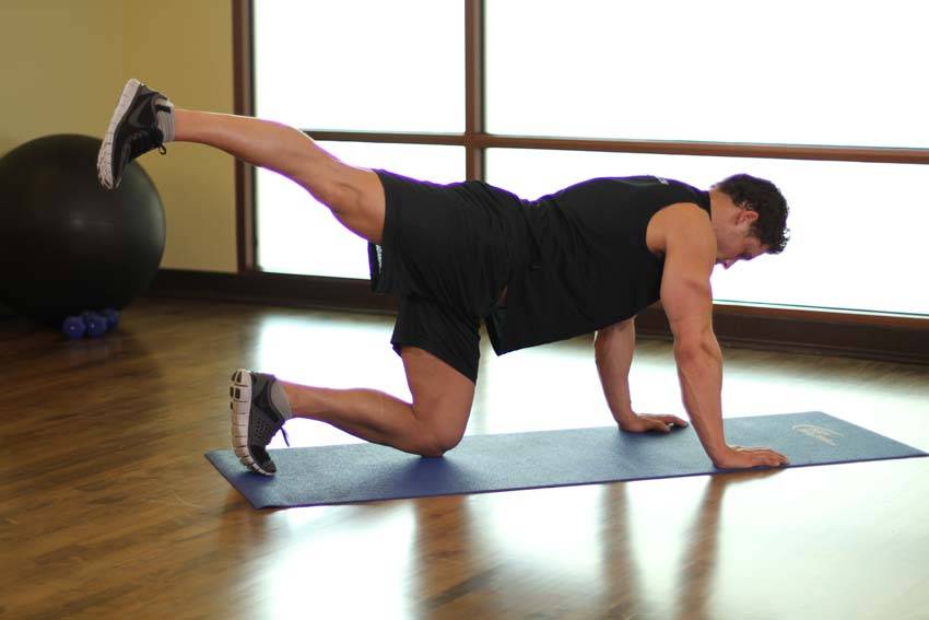 Alternative demonstration of Rear Leg Raises exercise