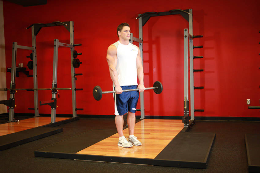 Demonstration of Reverse Barbell Curl exercise showing proper form and technique