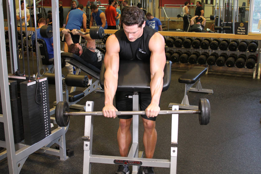 Demonstration of Reverse Barbell Preacher Curls exercise showing proper form and technique