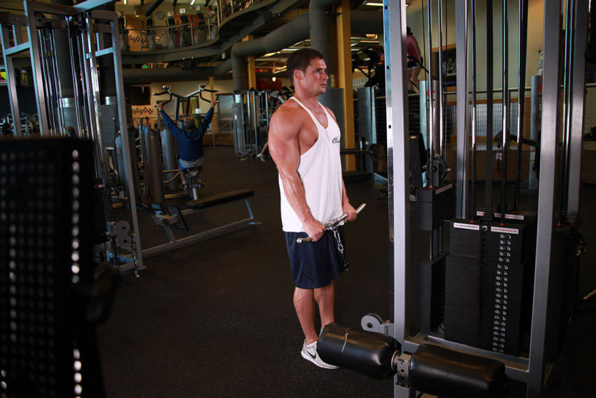 Alternative demonstration of Reverse Cable Curl exercise
