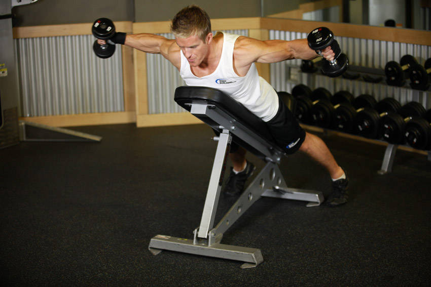Alternative demonstration of Reverse Flyes With External Rotation exercise