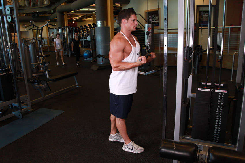Demonstration of Reverse Grip Triceps Pushdown exercise showing proper form and technique