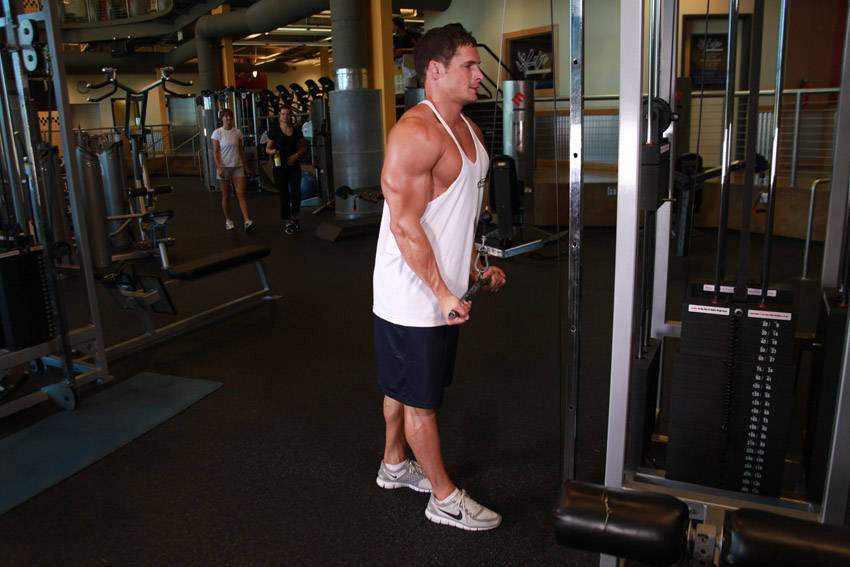 Alternative demonstration of Reverse Grip Triceps Pushdown exercise